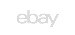 Ebay Icon