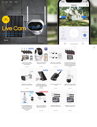 online store website showcase example security