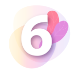 6 icon