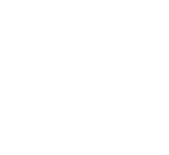netcash shop transparent logo