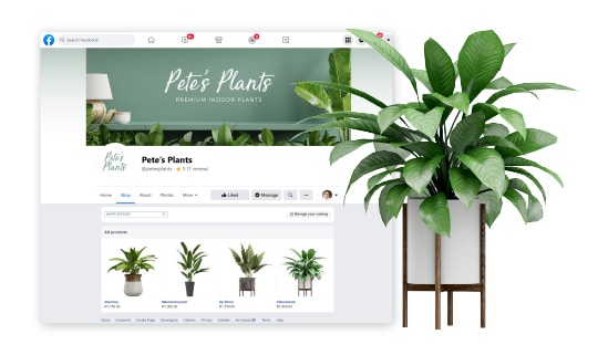 connect facebook to your ecommerce store